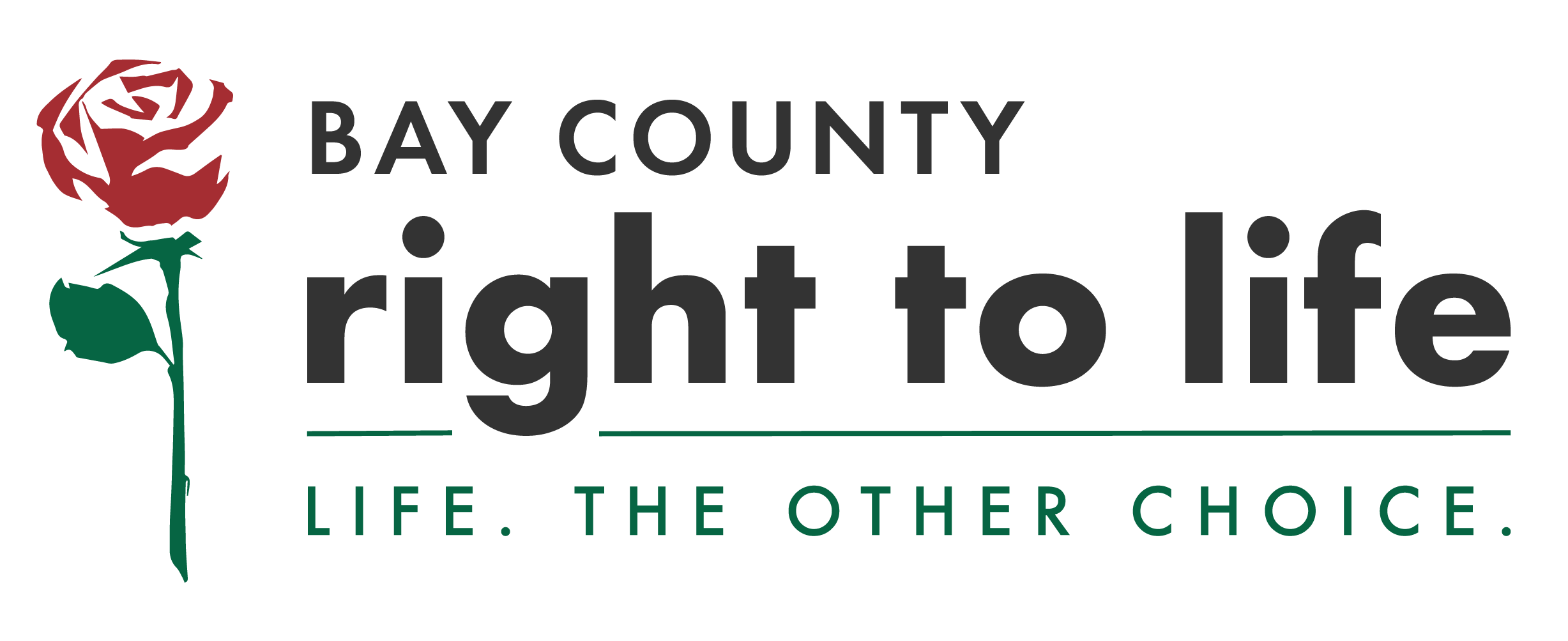 Bay County Right to Life
